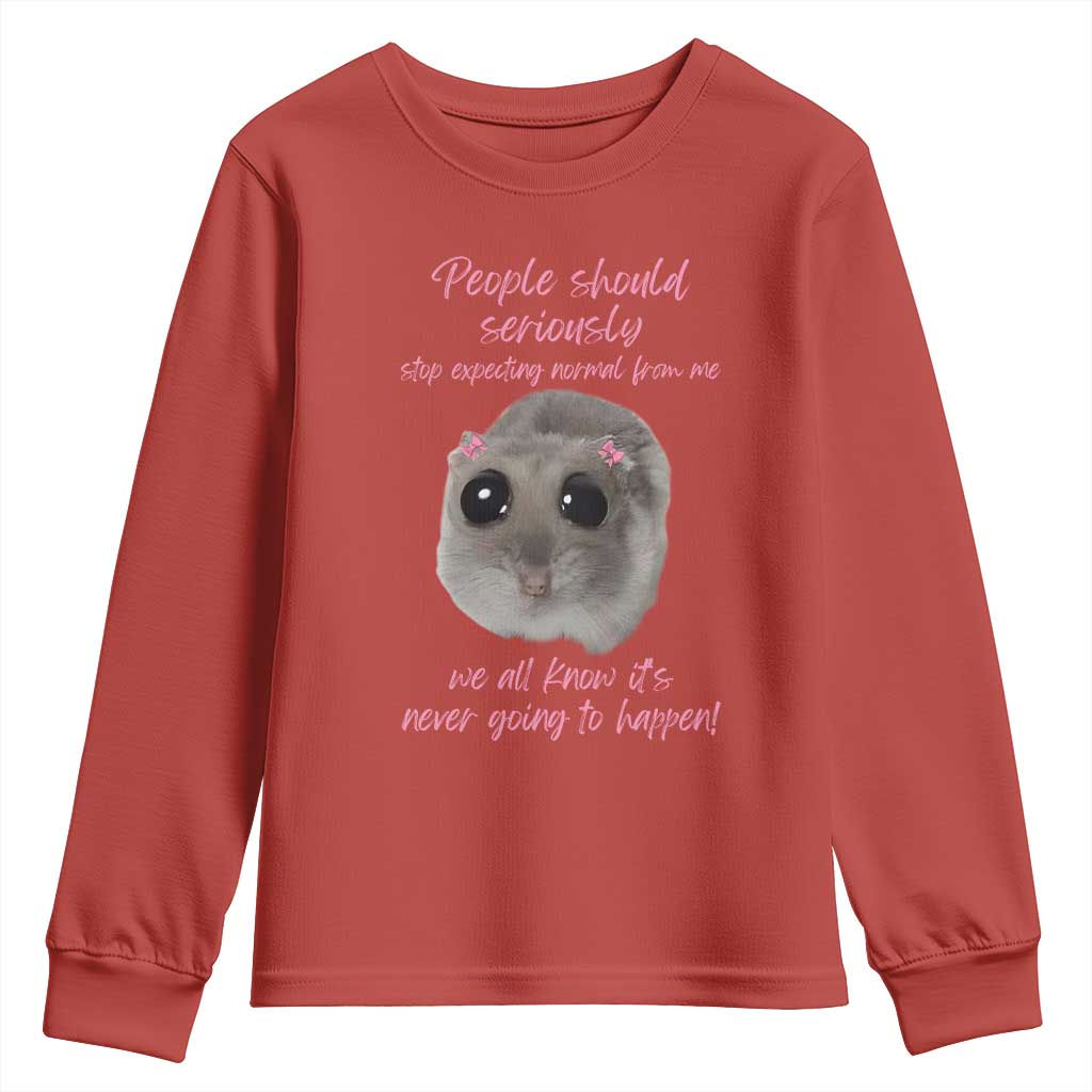 Funny Hamster Meme Youth Sweatshirt People Should Stop Expecting Normal Humor Gift TS12 Red Print Your Wear
