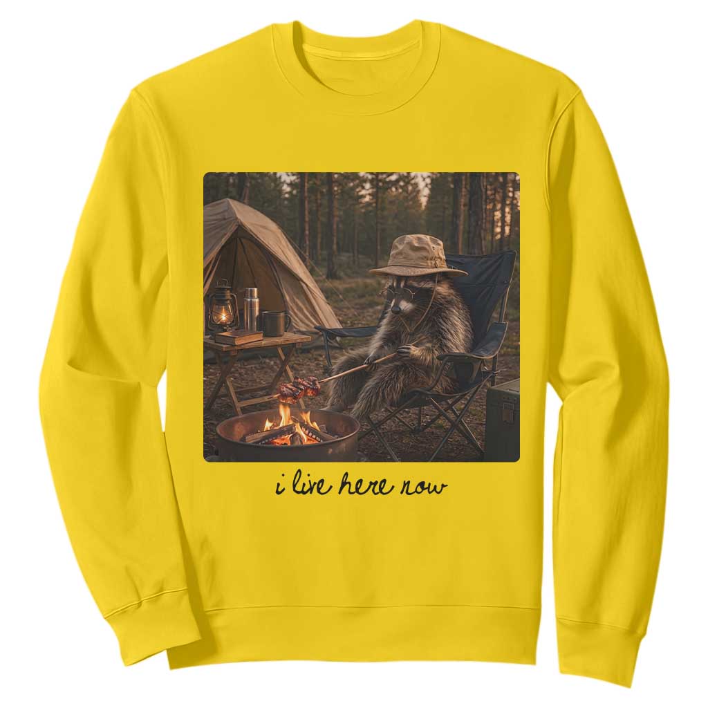 Funny Camping Raccoon Sweatshirt I Live Here Now Outdoor Lover