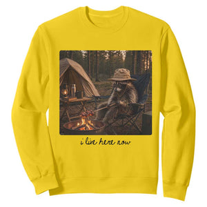 Funny Camping Raccoon Sweatshirt I Live Here Now Outdoor Lover