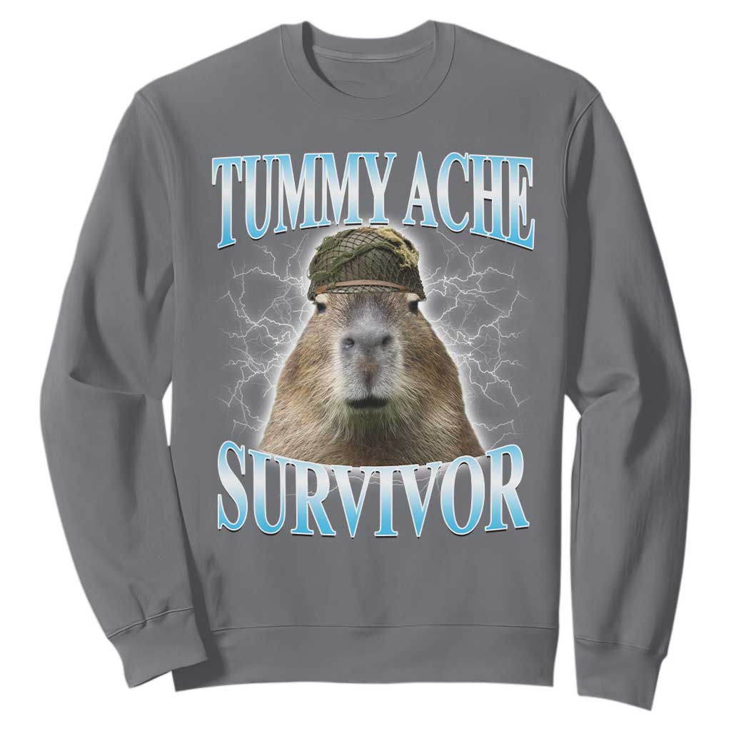 Tummy Ache Survivor Sweatshirt Funny Capybara Meme For Animal Lover TS12 Charcoal Print Your Wear