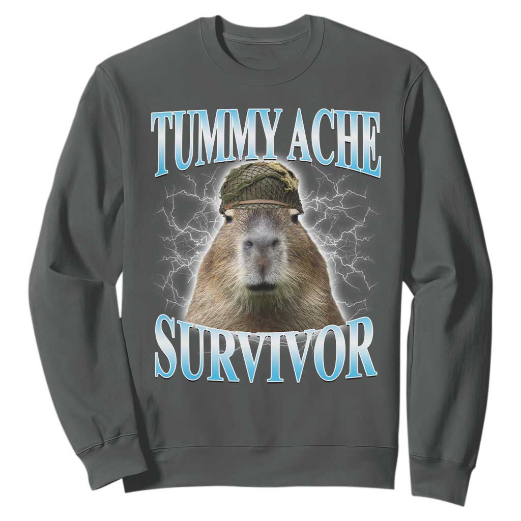 Tummy Ache Survivor Sweatshirt Funny Capybara Meme For Animal Lover TS12 Dark Heather Print Your Wear