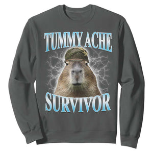 Tummy Ache Survivor Sweatshirt Funny Capybara Meme For Animal Lover TS12 Dark Heather Print Your Wear