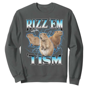 Autism Capybara Sweatshirt Funny Rizz Em With The Tism TS12 Dark Heather Print Your Wear