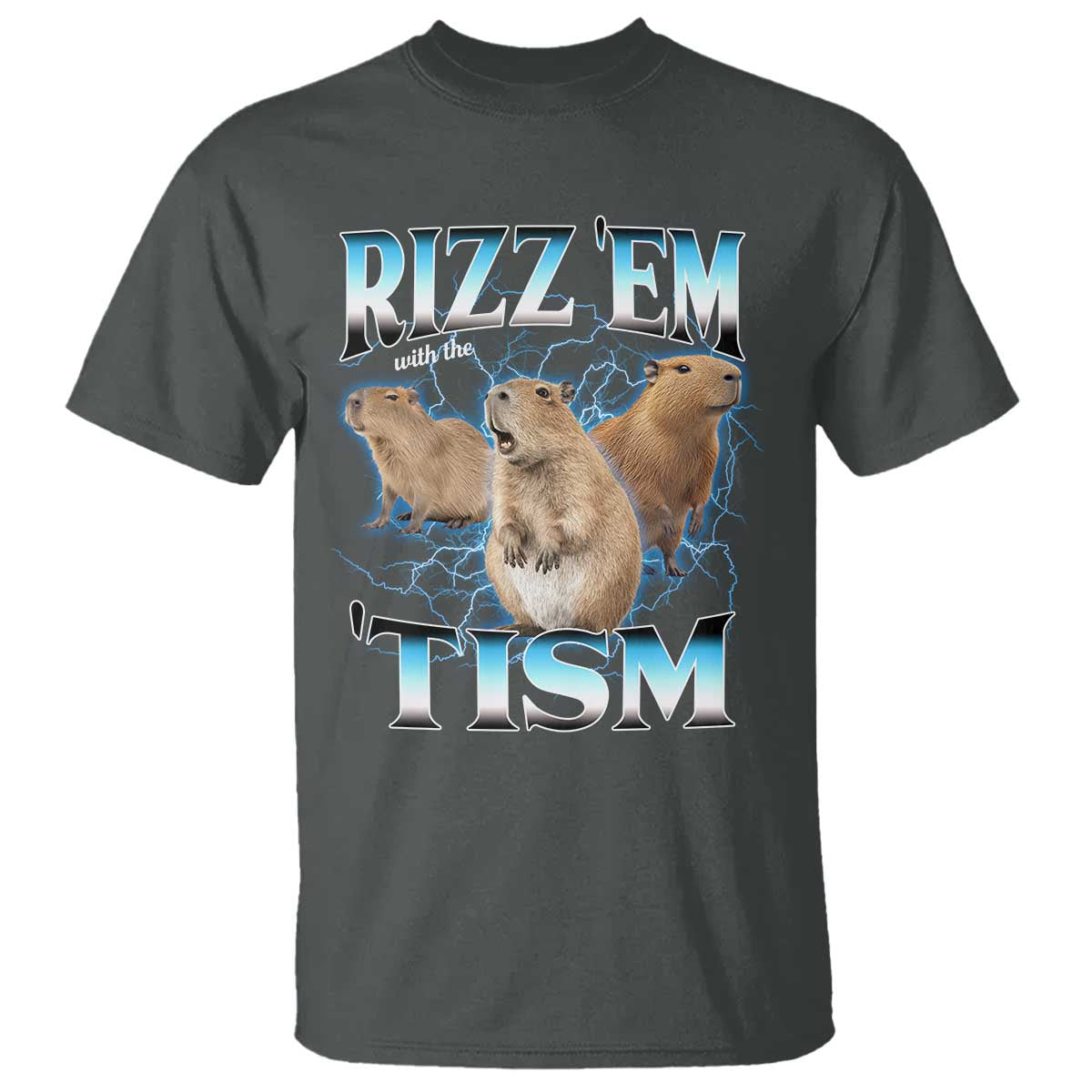 Autism Capybara T Shirt Funny Rizz Em With The Tism TS12 Dark Heather Print Your Wear