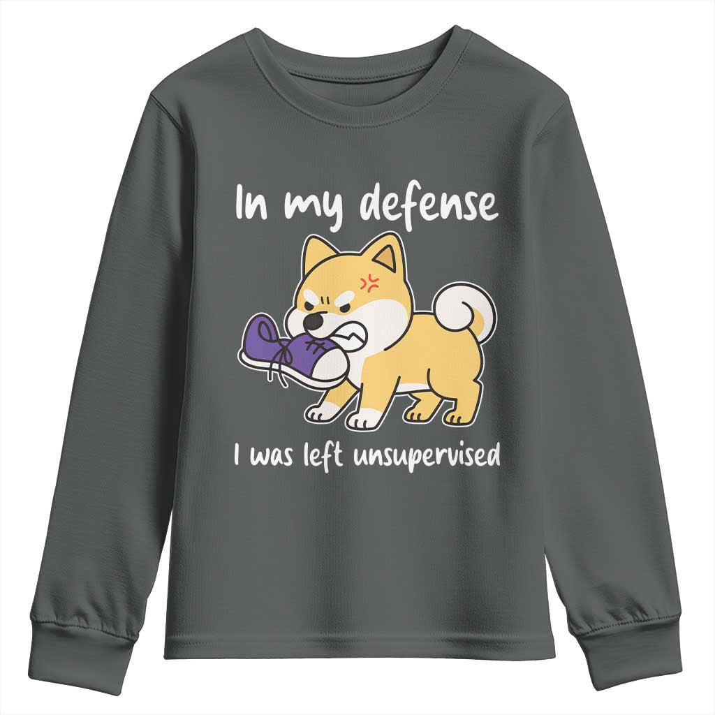Sarcastic Dog Lover Youth Sweatshirt In My Defense I Was Left Unsupervised TS12 Dark Heather Print Your Wear
