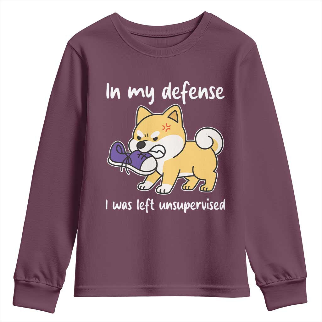 Sarcastic Dog Lover Youth Sweatshirt In My Defense I Was Left Unsupervised TS12 Maroon Print Your Wear