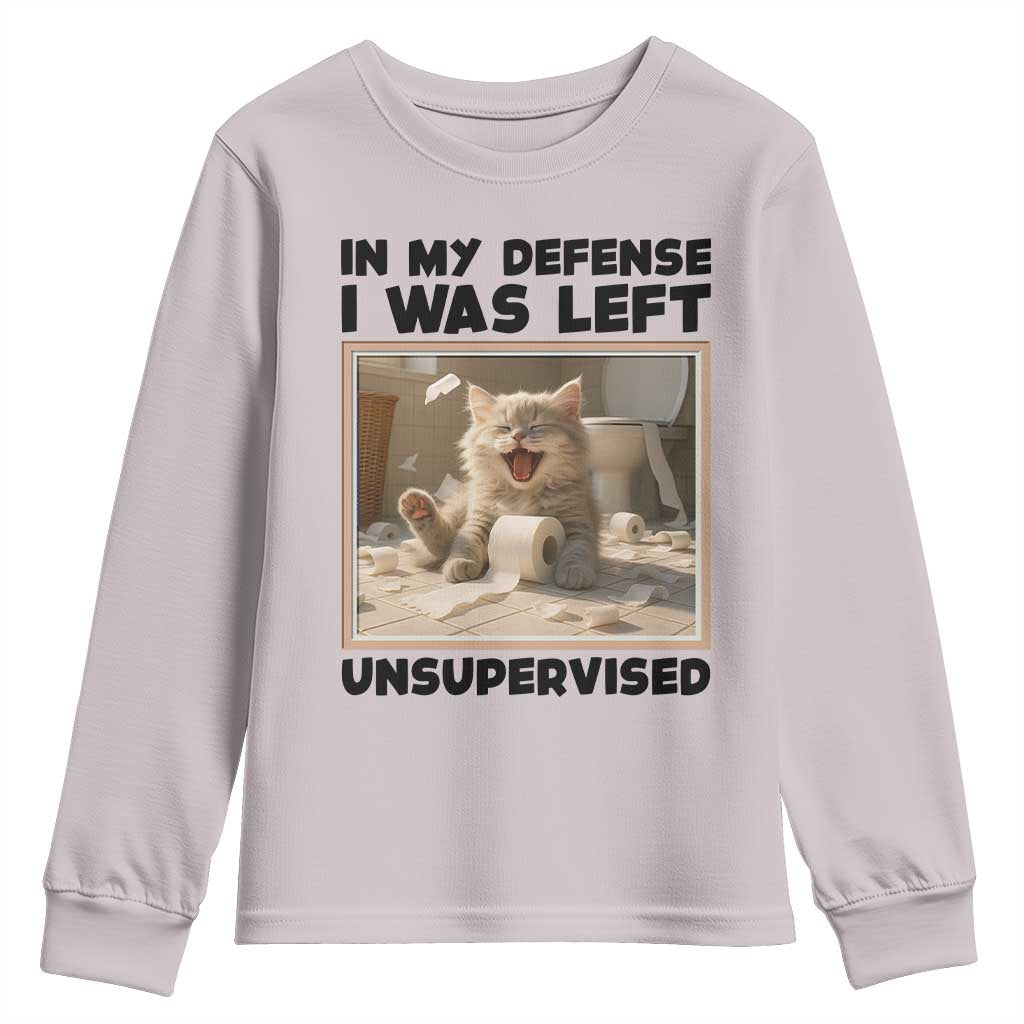 Funny Cat Humor Youth Sweatshirt In My Defense I Was Left Unsupervised TS12 Ice Gray Print Your Wear