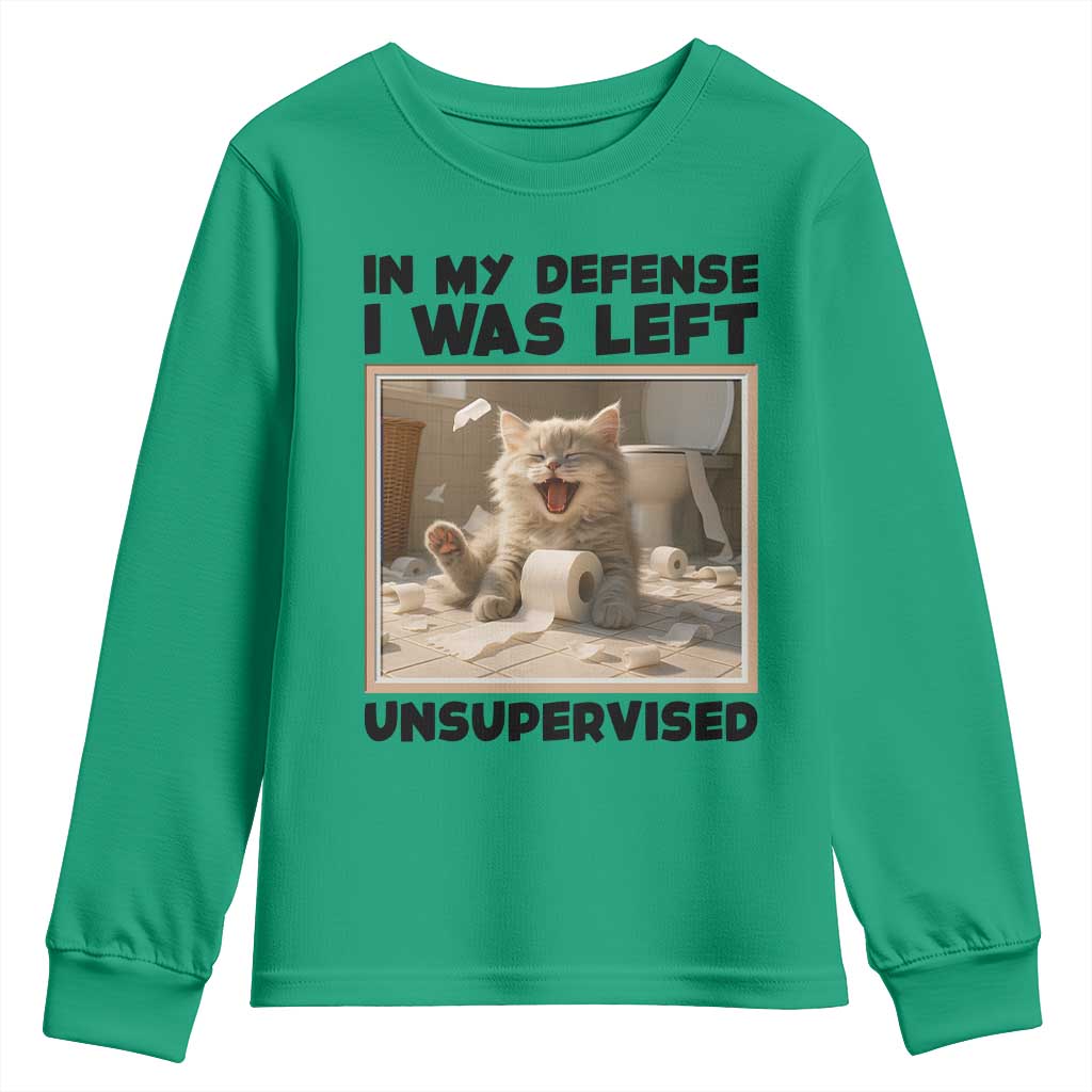 Funny Cat Humor Youth Sweatshirt In My Defense I Was Left Unsupervised TS12 Irish Green Print Your Wear