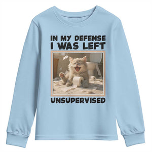 Funny Cat Humor Youth Sweatshirt In My Defense I Was Left Unsupervised TS12 Light Blue Print Your Wear