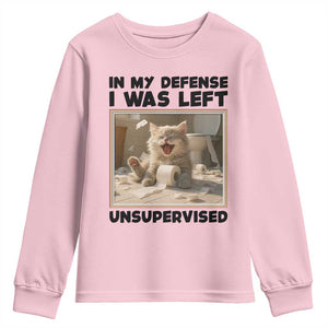 Funny Cat Humor Youth Sweatshirt In My Defense I Was Left Unsupervised TS12 Light Pink Print Your Wear