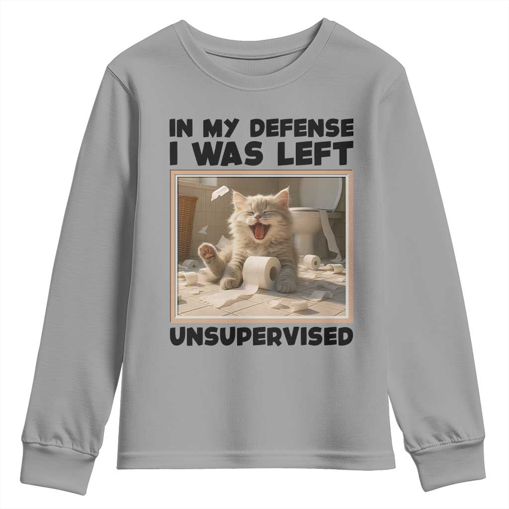 Funny Cat Humor Youth Sweatshirt In My Defense I Was Left Unsupervised TS12 Sport Gray Print Your Wear