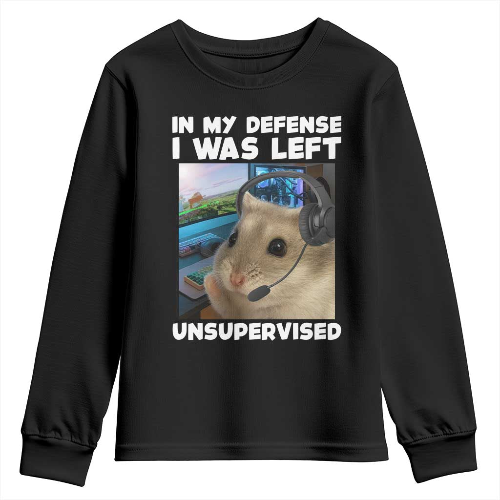 Funny Hamster Gamer Youth Sweatshirt In My Defense I Was Left Unsupervised TS12 Black Print Your Wear