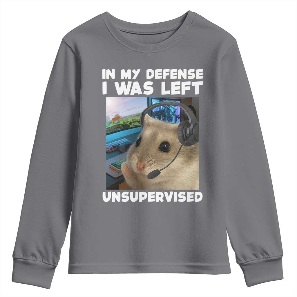 Funny Hamster Gamer Youth Sweatshirt In My Defense I Was Left Unsupervised TS12 Charcoal Print Your Wear