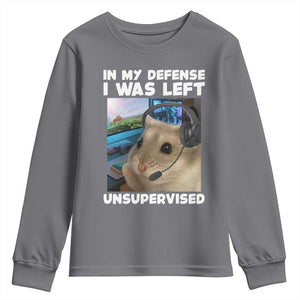 Funny Hamster Gamer Youth Sweatshirt In My Defense I Was Left Unsupervised TS12 Charcoal Print Your Wear