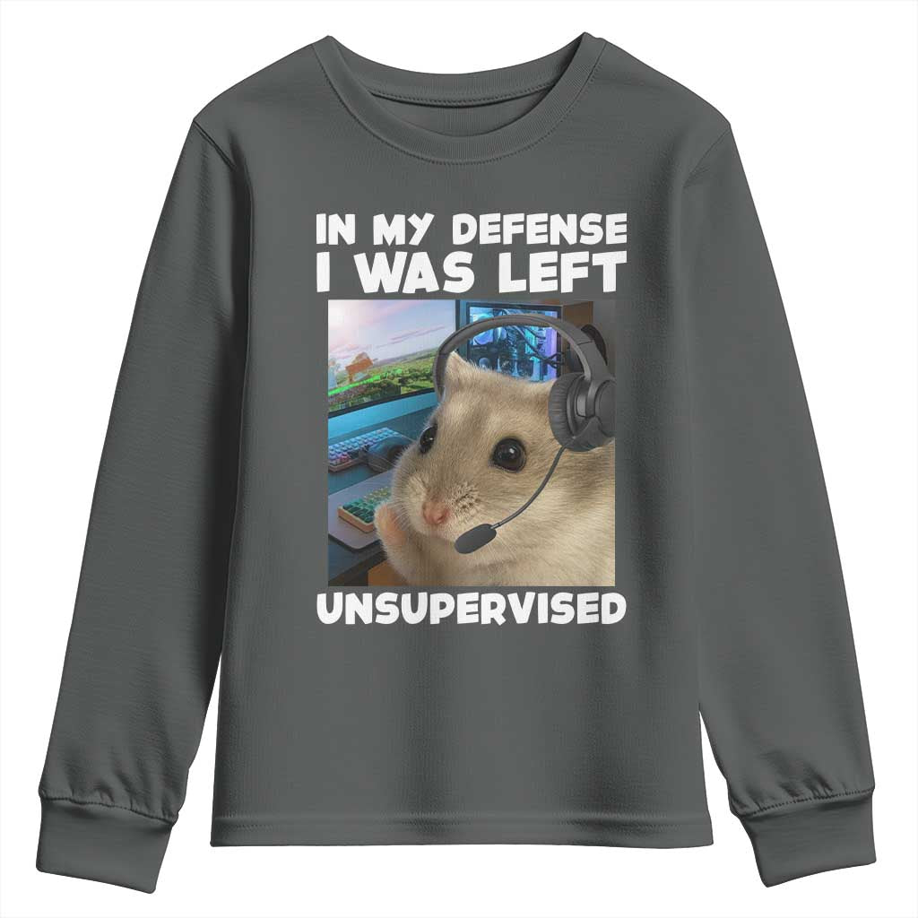 Funny Hamster Gamer Youth Sweatshirt In My Defense I Was Left Unsupervised TS12 Dark Heather Print Your Wear
