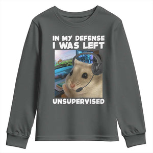Funny Hamster Gamer Youth Sweatshirt In My Defense I Was Left Unsupervised TS12 Dark Heather Print Your Wear