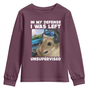 Funny Hamster Gamer Youth Sweatshirt In My Defense I Was Left Unsupervised TS12 Maroon Print Your Wear