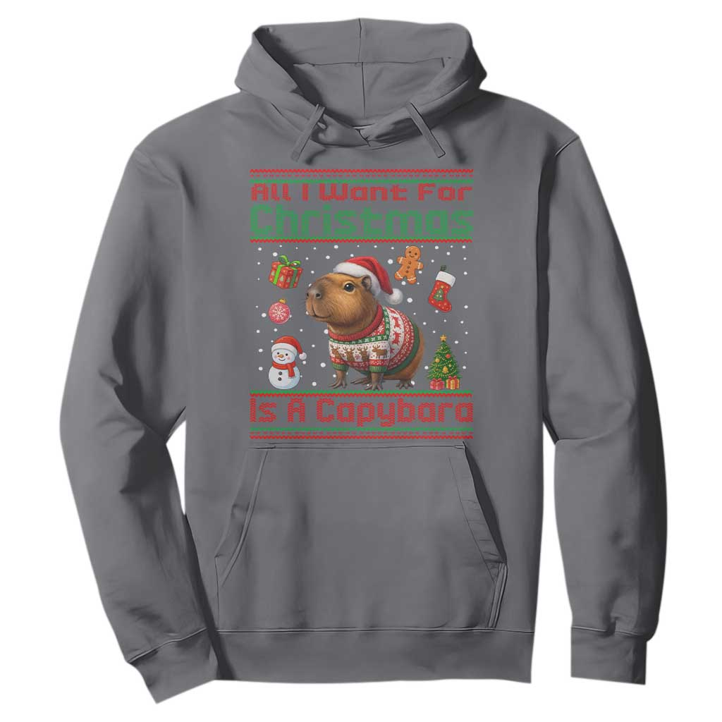 Funny Xmas Hoodie All I Want For Christmas Is A Capybara TS12 Charcoal Print Your Wear