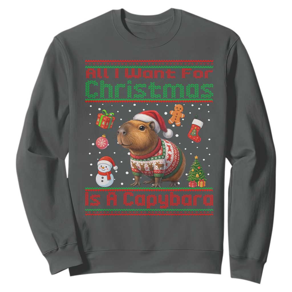 Funny Xmas Sweatshirt All I Want For Christmas Is A Capybara TS12 Dark Heather Print Your Wear