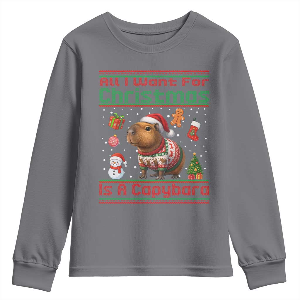 Funny Xmas Youth Sweatshirt All I Want For Christmas Is A Capybara TS12 Charcoal Print Your Wear