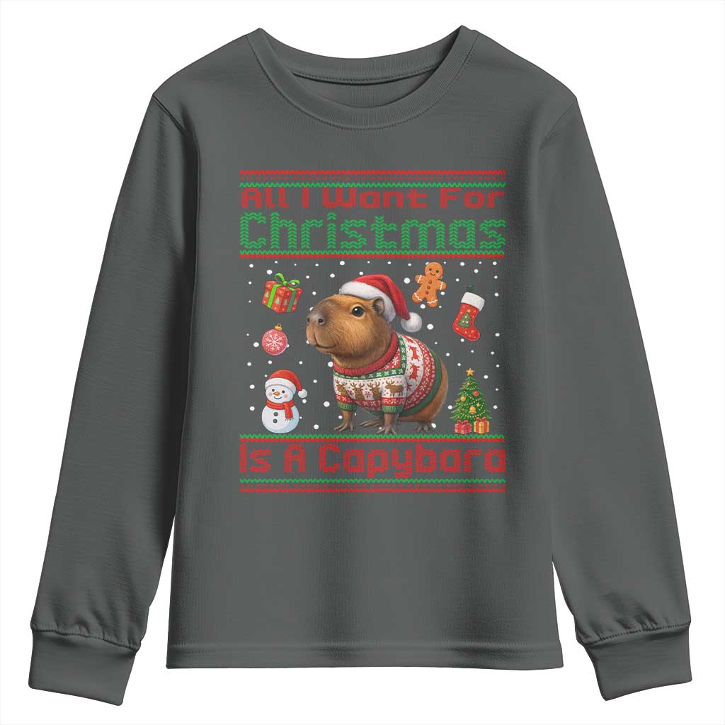 Funny Xmas Youth Sweatshirt All I Want For Christmas Is A Capybara TS12 Dark Heather Print Your Wear