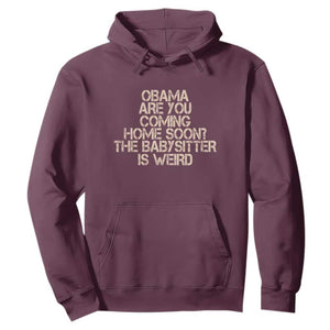 Funny Obama Joke Hoodie The Babysitter Is Weird Political Humor