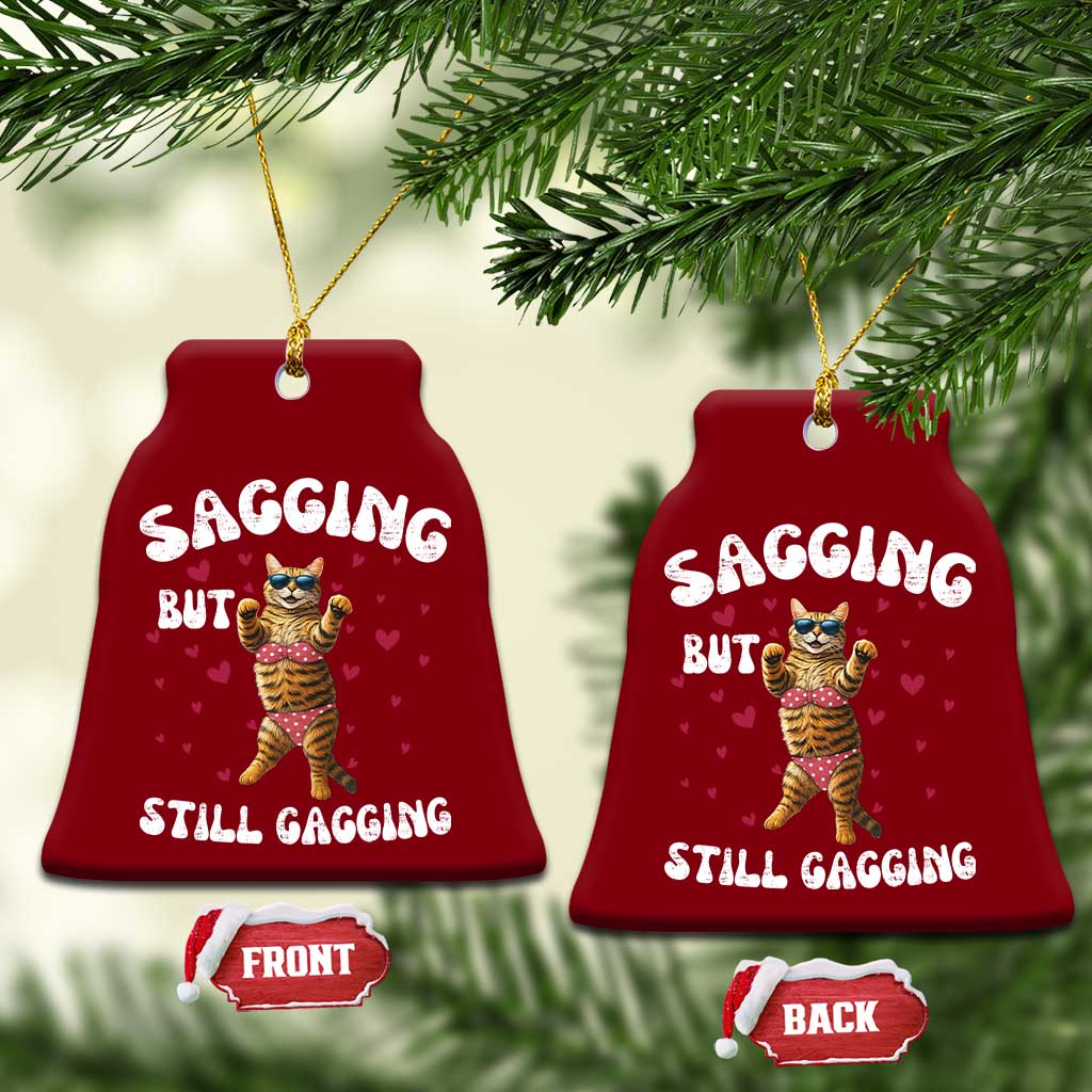 Funny Cat Sexy Ceramic Ornament Sagging But Still Gagging Gift TS12 Print Your Wear