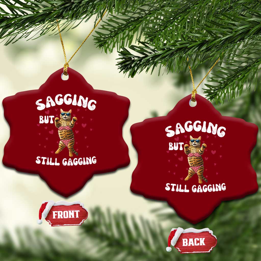 Funny Cat Sexy Ceramic Ornament Sagging But Still Gagging Gift TS12 Print Your Wear