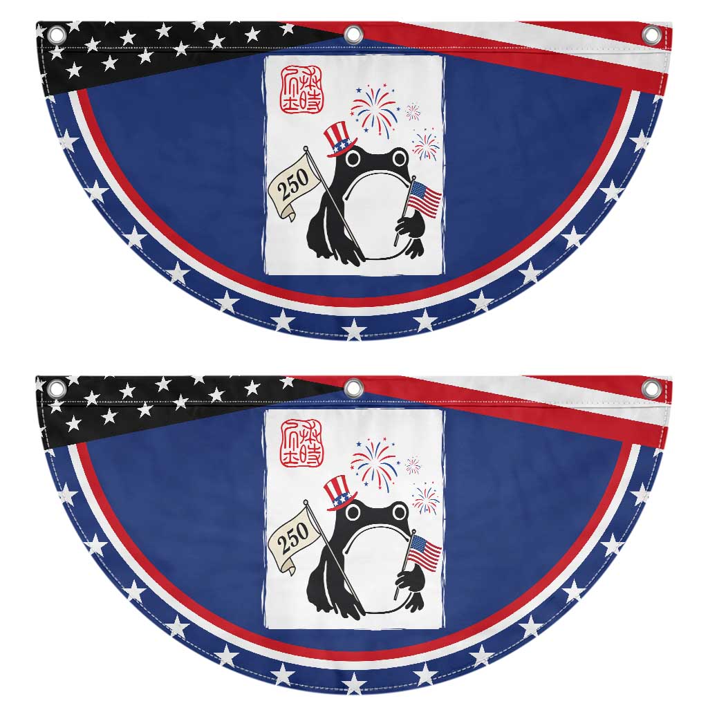 Funny Grumpy Frog 250th Anniversary USA Patriotic Fan Flag Red White Blue USA Celebration