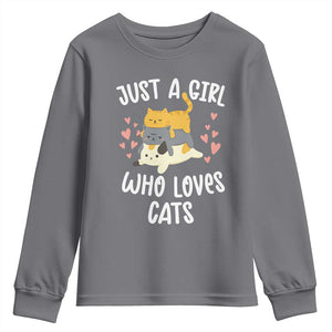 Just A Girl Who Loves Cats Youth Sweatshirt Cute Kittens Pet Lover TS12 Charcoal Print Your Wear
