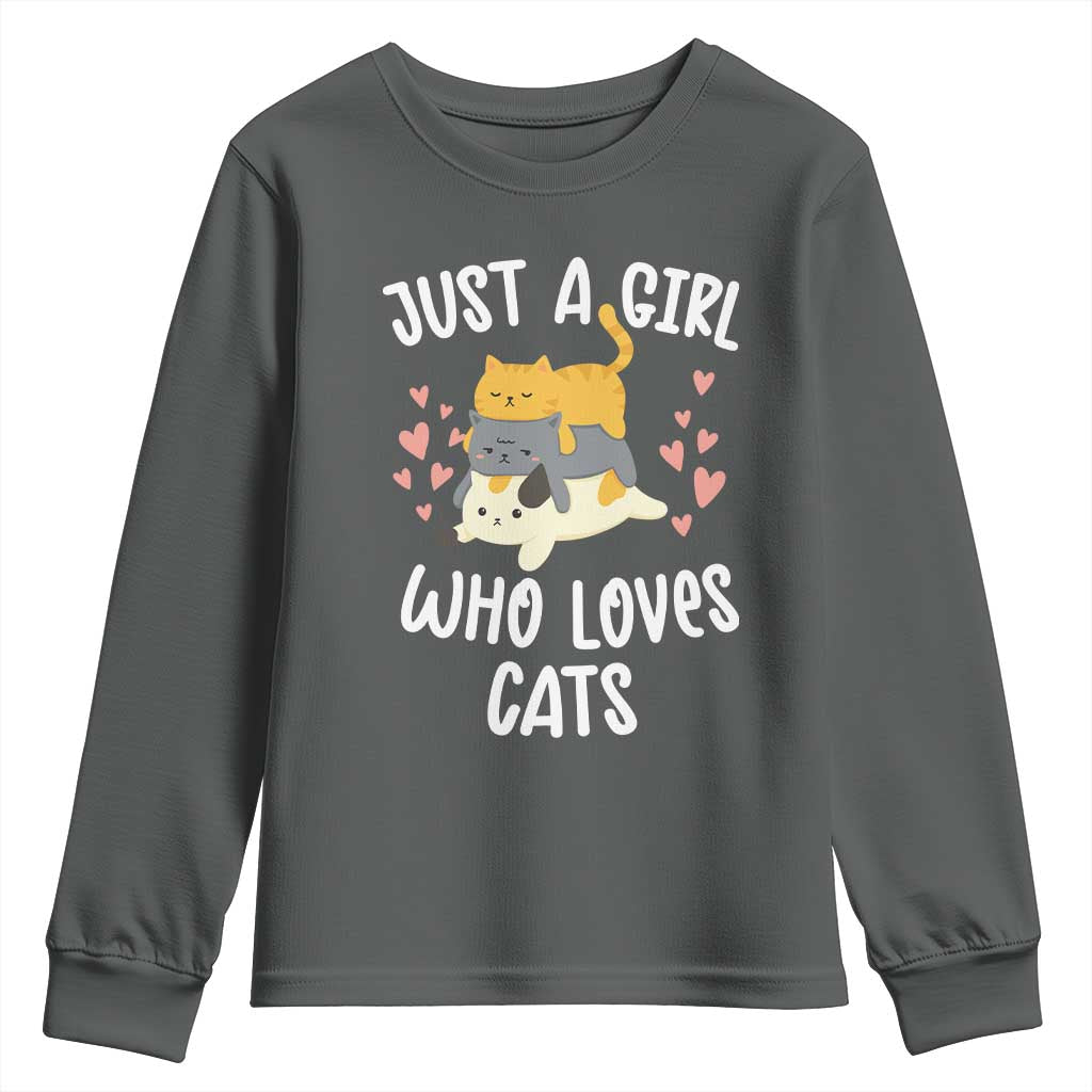 Just A Girl Who Loves Cats Youth Sweatshirt Cute Kittens Pet Lover TS12 Dark Heather Print Your Wear