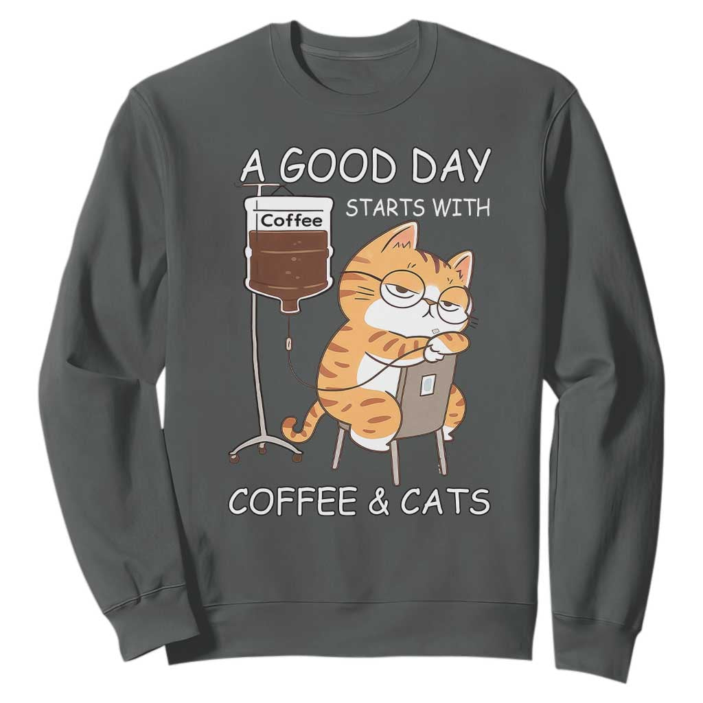 A Good Day Starts With Coffee And Cats Sweatshirt Funny Purrfect Morning TS12 Dark Heather Print Your Wear