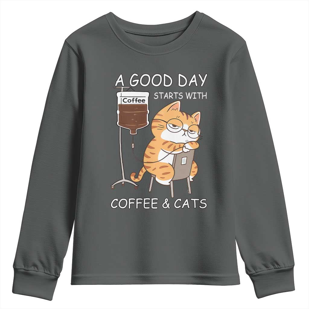 A Good Day Starts With Coffee And Cats Youth Sweatshirt Funny Purrfect Morning TS12 Dark Heather Print Your Wear