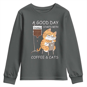 A Good Day Starts With Coffee And Cats Youth Sweatshirt Funny Purrfect Morning TS12 Dark Heather Print Your Wear