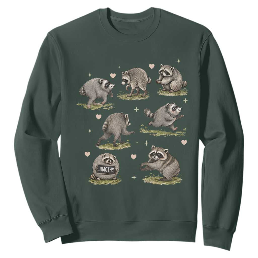 Cute Jimothy The Raccoon Sweatshirt Viral Seattle Wildlife Trash Panda Gift