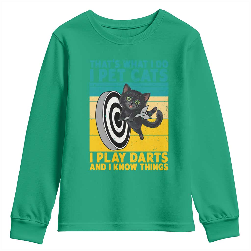Funny Retro Sunset Cat Darts Youth Sweatshirt I Pet Cats I Play Darts And I Know Things TS12 Irish Green Print Your Wear