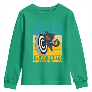Funny Retro Sunset Cat Darts Youth Sweatshirt I Pet Cats I Play Darts And I Know Things TS12 Irish Green Print Your Wear