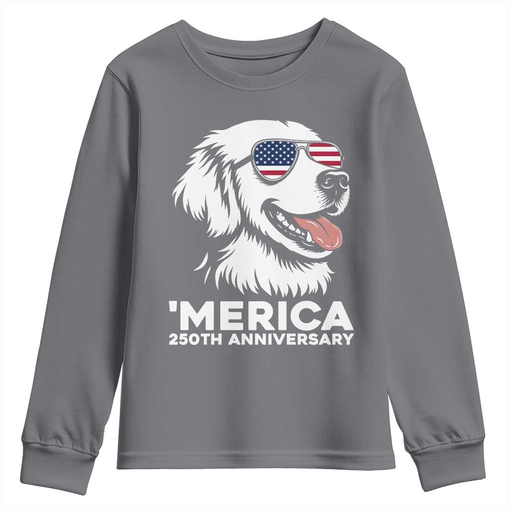 Merica Golden Retriever Lover Youth Sweatshirt 250th Anniversary Gift TS12 Charcoal Print Your Wear