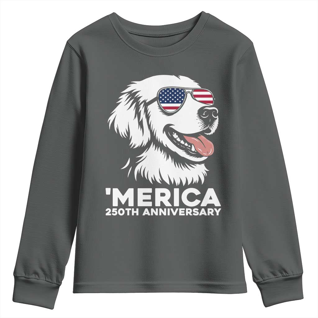 Merica Golden Retriever Lover Youth Sweatshirt 250th Anniversary Gift TS12 Dark Heather Print Your Wear