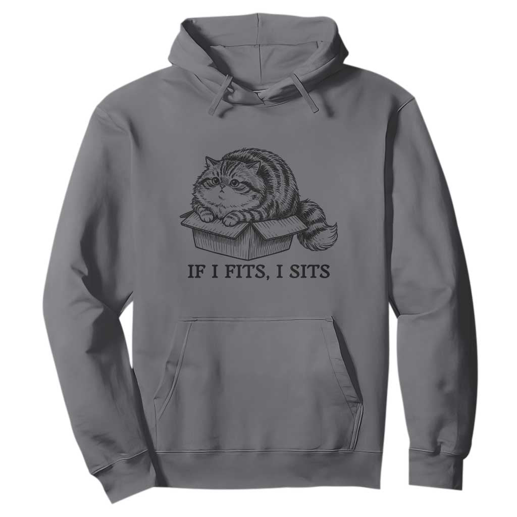 If I Fits I Sits Hoodie Chubby Kitty Funny Cat Lover Gift TS12 Charcoal Print Your Wear