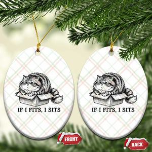 If I Fits I Sits Ceramic Ornament Chubby Kitty Funny Cat Lover Gift TS12 Print Your Wear