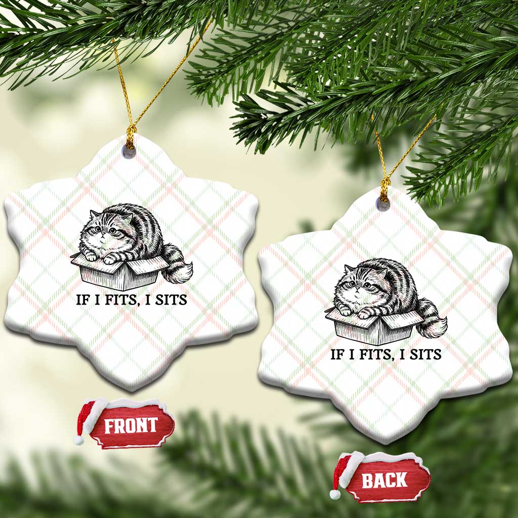 If I Fits I Sits Ceramic Ornament Chubby Kitty Funny Cat Lover Gift TS12 Print Your Wear