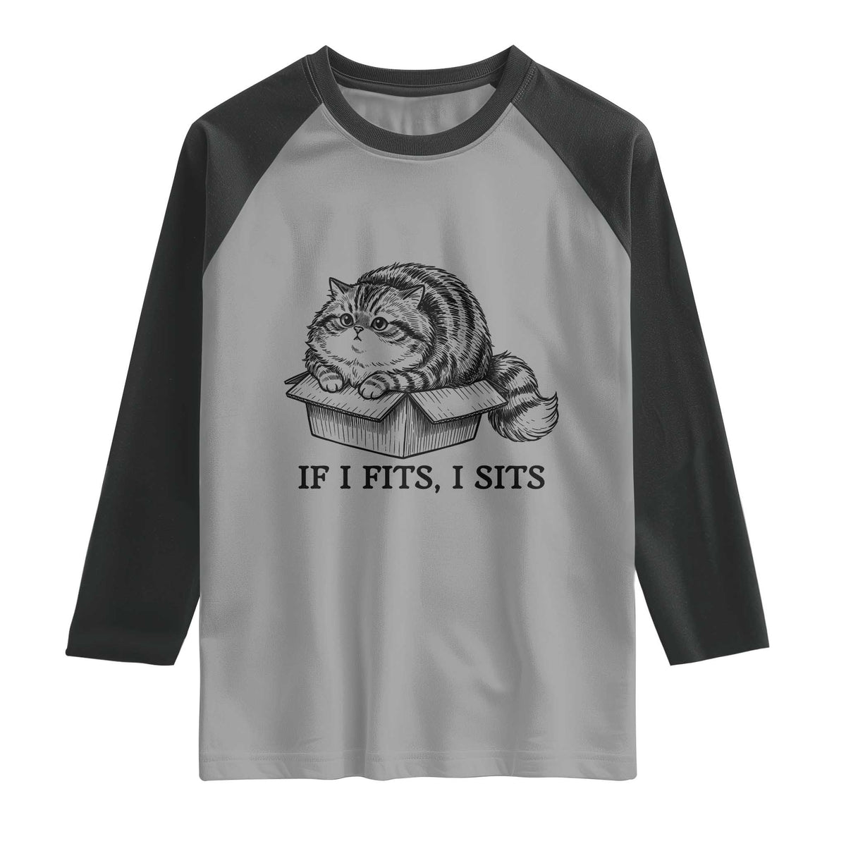 If I Fits I Sits Raglan Shirt Chubby Kitty Funny Cat Lover Gift TS12 Sport Gray Black Print Your Wear
