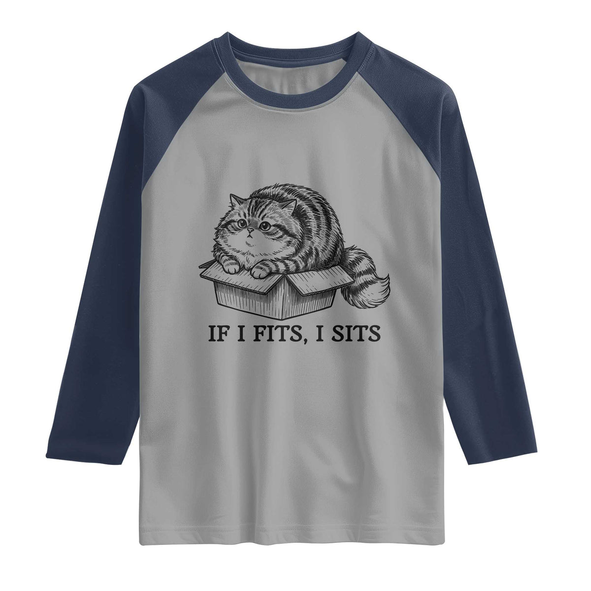 If I Fits I Sits Raglan Shirt Chubby Kitty Funny Cat Lover Gift TS12 Sport Gray Navy Print Your Wear