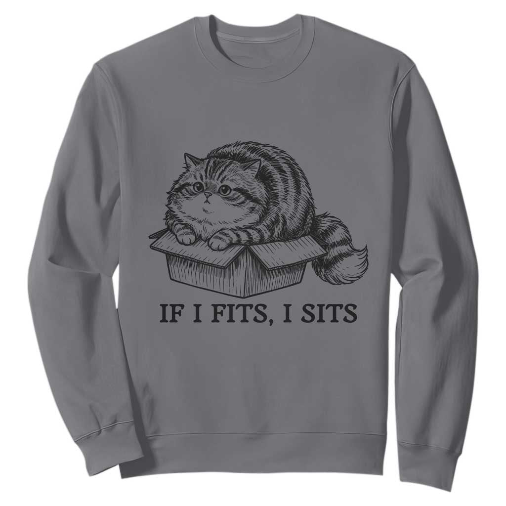 If I Fits I Sits Sweatshirt Chubby Kitty Funny Cat Lover Gift TS12 Charcoal Print Your Wear
