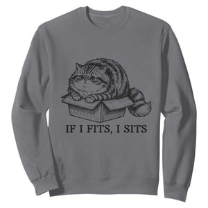 If I Fits I Sits Sweatshirt Chubby Kitty Funny Cat Lover Gift TS12 Charcoal Print Your Wear