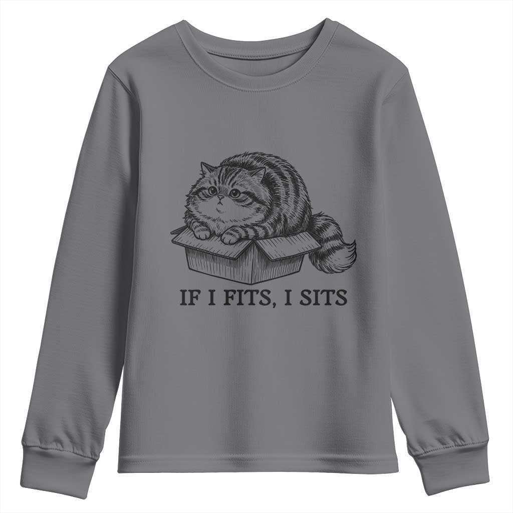 If I Fits I Sits Youth Sweatshirt Chubby Kitty Funny Cat Lover Gift TS12 Charcoal Print Your Wear