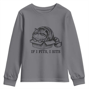 If I Fits I Sits Youth Sweatshirt Chubby Kitty Funny Cat Lover Gift TS12 Charcoal Print Your Wear