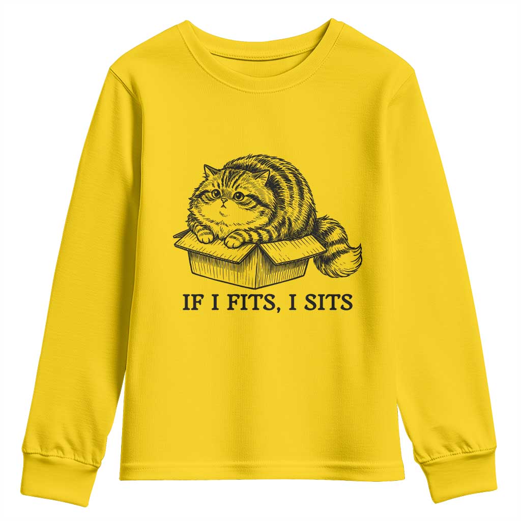 If I Fits I Sits Youth Sweatshirt Chubby Kitty Funny Cat Lover Gift TS12 Daisy Print Your Wear