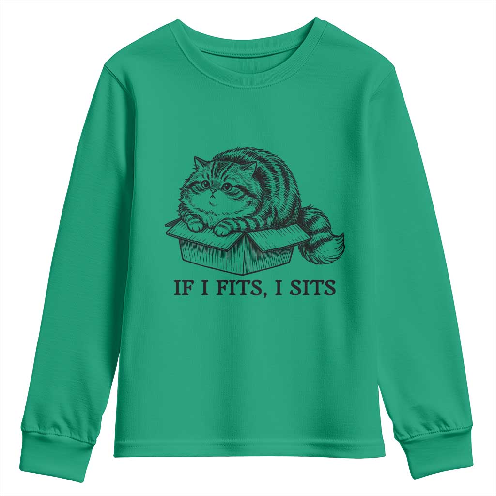 If I Fits I Sits Youth Sweatshirt Chubby Kitty Funny Cat Lover Gift TS12 Irish Green Print Your Wear